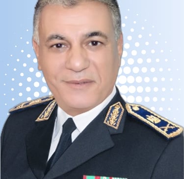 Major General Ayman Sayed El-Ahl discussing risk-based professional training and institutional decision-making