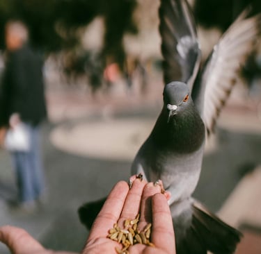 Animal-Assisted Therapy for Anxiety Management