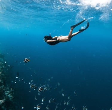 Bien pratiquer le snorkelling, plongée sous marine - voyage sur mesure