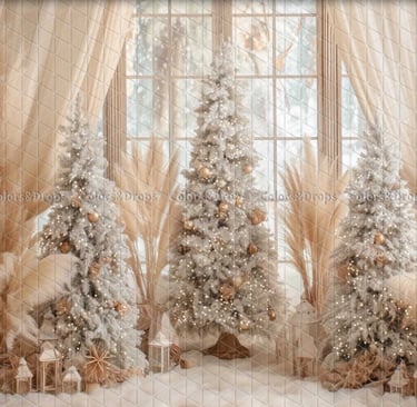 Séance photo de Noel avec sapin blanc
