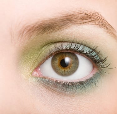 Photo d'un iris brun-vert