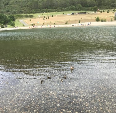 Lake in Parc Saint Bertrand Quillan Aude Valley near the Pyrenees mountains
