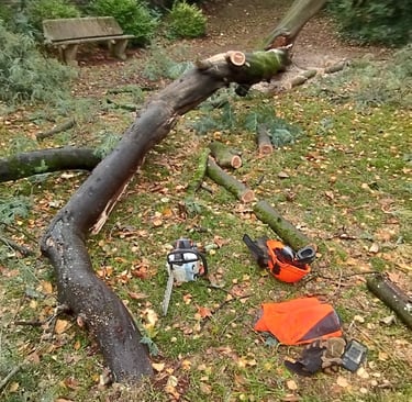 abattage arbre nantes entretien espaces verts jardin paysagiste