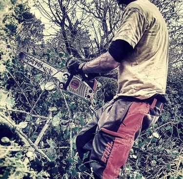 abattage arbre jardin entretien nantes