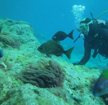 Buceo en Las Galletas