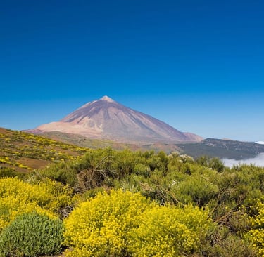 parque nacional teide