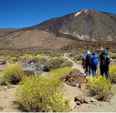 Senderismo en el Parque Nacional del Teide: