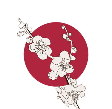 trouble du sommeil, gestion des émotions, deuil, phobie, pensées négatives, difficultés aux choix