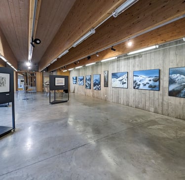 exposition Vincent Ganaye, Maison de la Bresse 2024