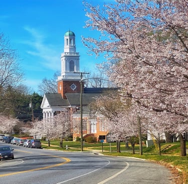 Rivermont Avenue in spring with cherry blossoms