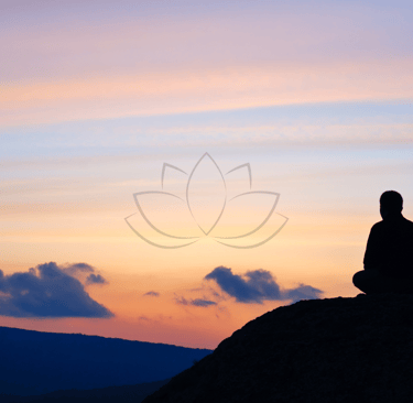 a person sitting on a rock with a lotus flower