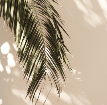 a palm tree with a bird on it