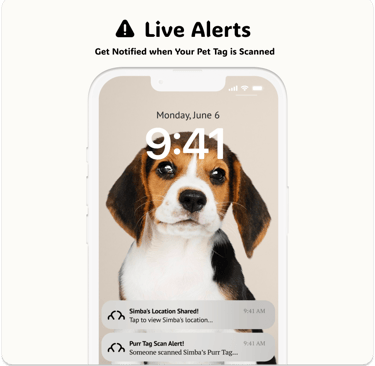 Live Alerts Feature