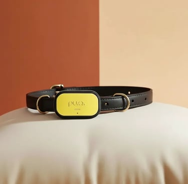 Dog Collar with GPS tracker
