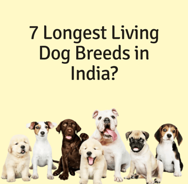 Longest living dog breeds in India poster