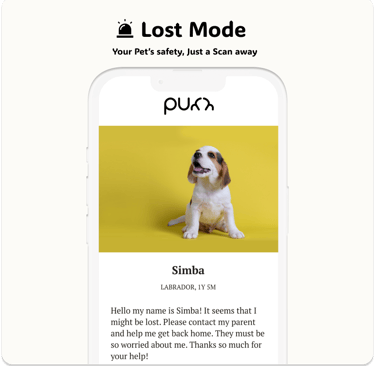 Lost Mode Feature