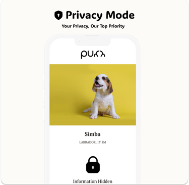 Privacy Mode Feature