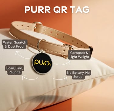 Purr QR Tag Features - Infographic