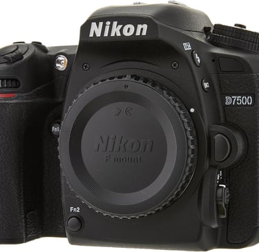 Nikon D7500, Sensor: APS-C de 20.9 MP, Video: 4K a 30 fps.