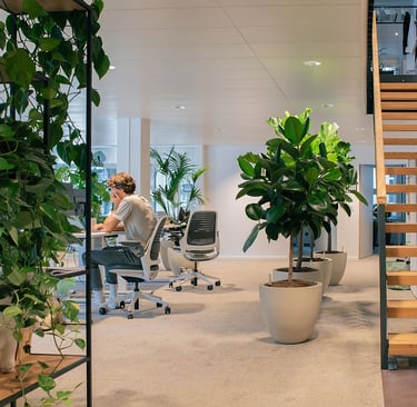 اتصل بشركة "نيو جرين تتش" لخدمات تصميم الحدائق الداخلية وصيانة النباتات. شركة لاندسكيب مصرية متخصصة 