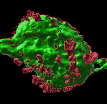 Molecule related to the study of spinal cord injuries.