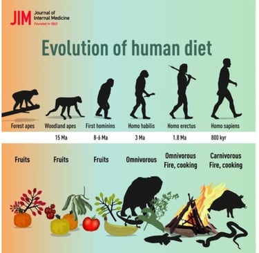 Illustration of the human evolutionary diet.