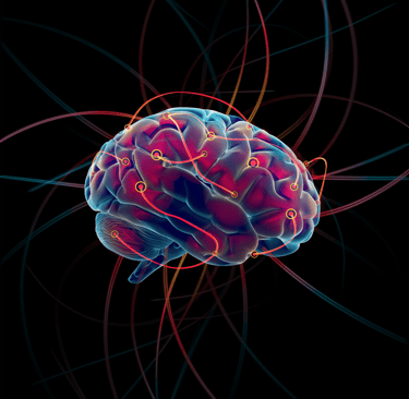 Illustration of a brain and nerve endings in neon.