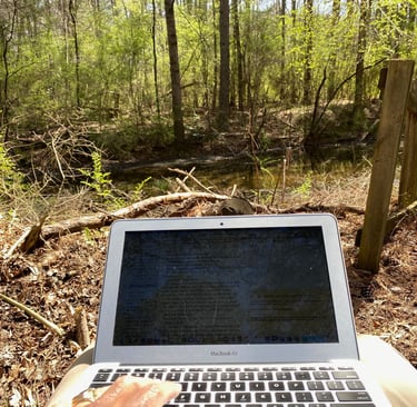 Writing in my backyard
