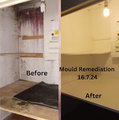 a kitchen with mold mold mold mold mold mold mold mold mold mold mold mold mold