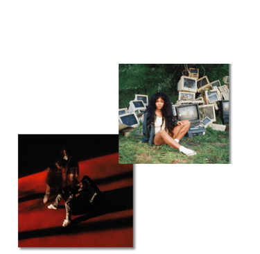 a woman sitting on a red carpet next to a picture of a man in a. SZA and Don Toliver Albums