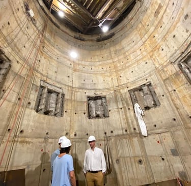 Reactor Modular Argentino CAREM