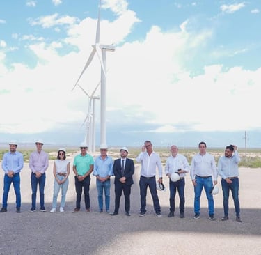 Parque Eólico Arauco - La Rioja