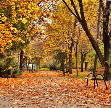 TOURCHINA - TOUR CHINA - TEMPAT TERBAIK DI CHINA PADA MUSIM GUGUR 2025