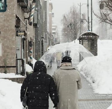 Slow Travel Winter in China