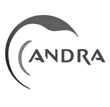 Andra