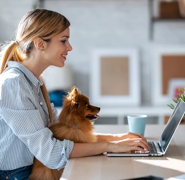 Le recul du télétravail en France