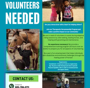 a flyer for a volunteer in the community