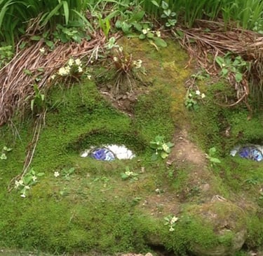 Lost Gardens of Heligan