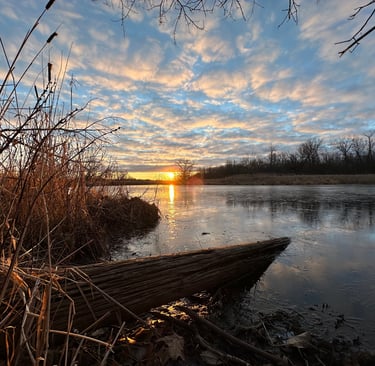Calming Nature