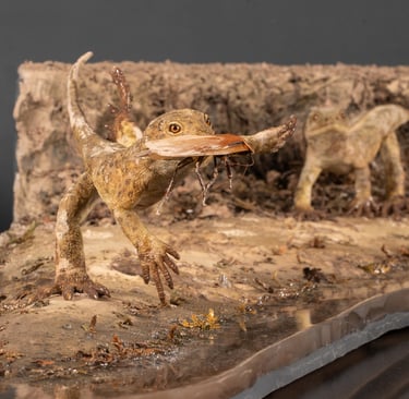 Eudibamis rekostruktion von sebasian brandt