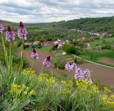 Wipperdurchbruch bei Günserode in Nordthüringen,