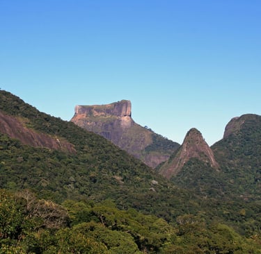 floresta da tijuca