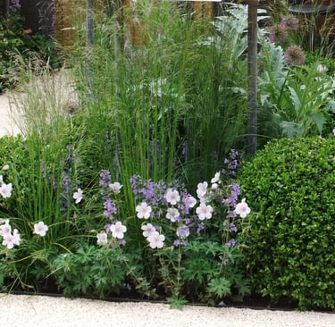 Borders met siergrassen en bloemen in de tuin.