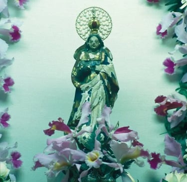 Nossa Senhora da Conceição Vítima dos Terroristas