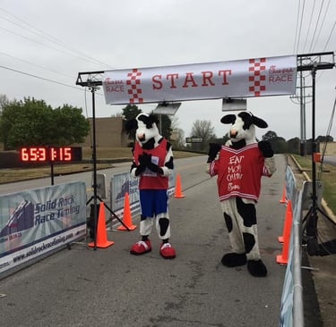 Chick Fil A cows Standing at the START line of the North Alabama Chick Fil A Race Series