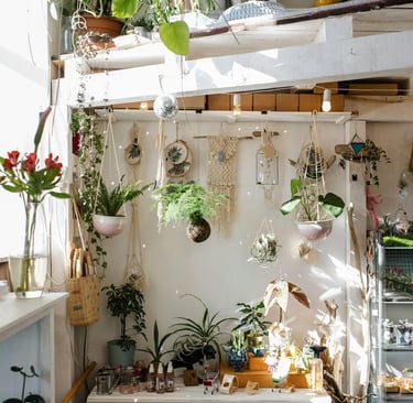 urban jungle la tendance en intérieur