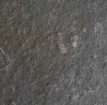 Blue Imperador Flamed