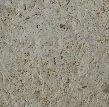CAS Coral Brushed Shellstone