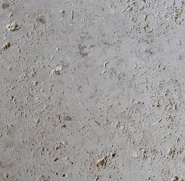 CAS Coral Natural shellstone