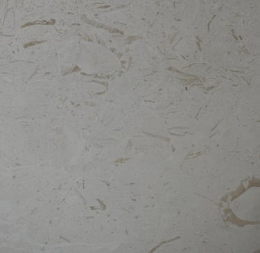 Ocean Reef White Honed Shell Stone